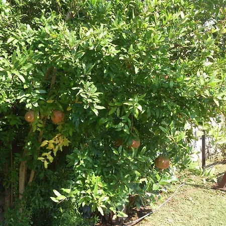 ホテル Casa By Kirte *