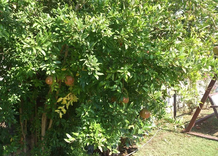 Отель Casa By Kirte *